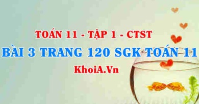 Bài 3 trang 120 SGK Toán 11 Tập 1 Chân trời sáng tạo